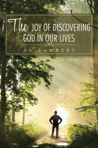 Kniha Joy Of Discovering God In Our Lives Aa Lambert