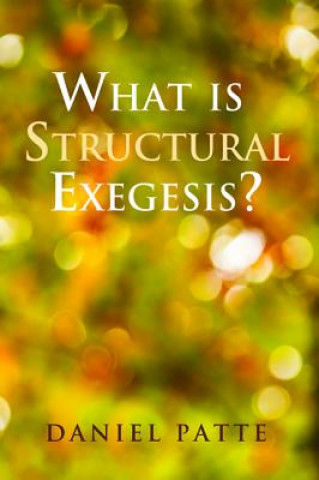 Carte What is Structural Exegesis? Patte