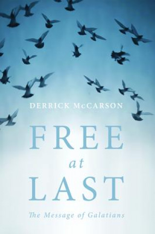 Kniha Free at Last Derrick McCarson