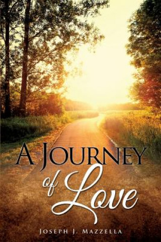 Book Journey of Love Joseph J Mazzella