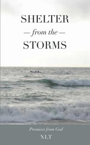 Buch Shelter From the Storms; Promises from God Linda Jones