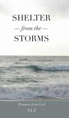 Kniha Shelter From the Storms; Promises from God Linda Jones