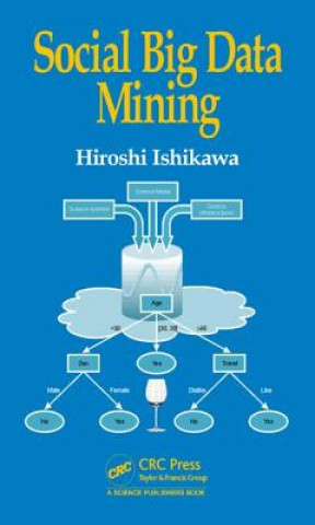 Livre Social Big Data Mining Hiroshi Ishikawa