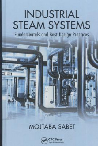 Kniha Industrial Steam Systems Sabet
