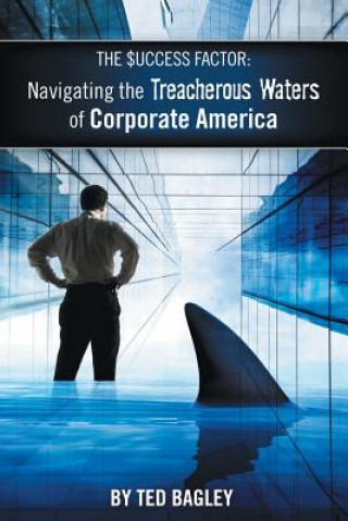 Buch Success Factor Ted Bagley