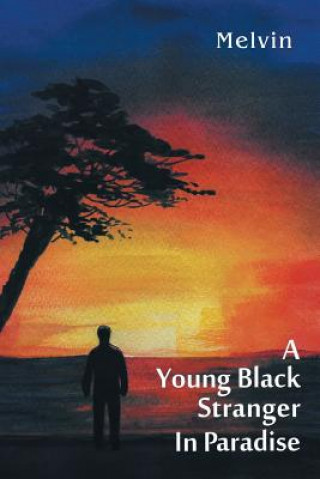 Könyv Young Black Stranger in Paradise Melvin