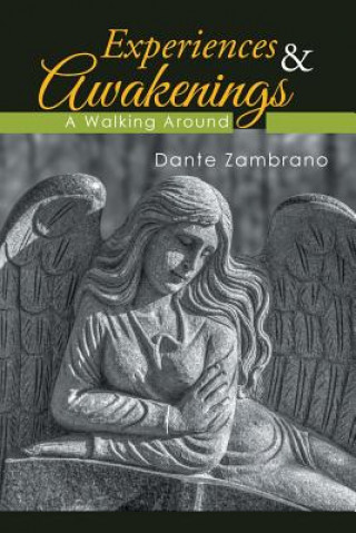 Kniha Experiences & Awakenings Dante Zambrano