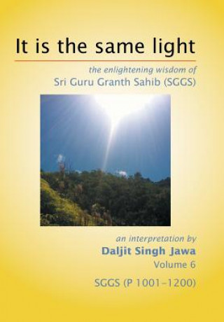 Könyv It Is the Same Light Daljit Singh Jawa