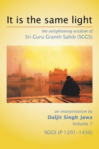 Könyv It Is The Same Light Daljit Singh Jawa