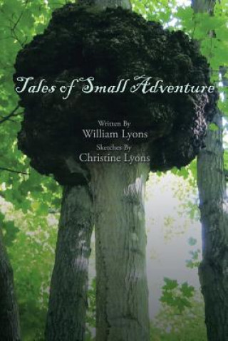 Carte Tales of Small Adventure WILLIAM LYONS