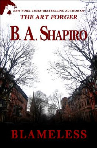Kniha Blameless B A Shapiro