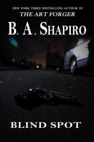 Kniha Blind Spot B. A. Shapiro