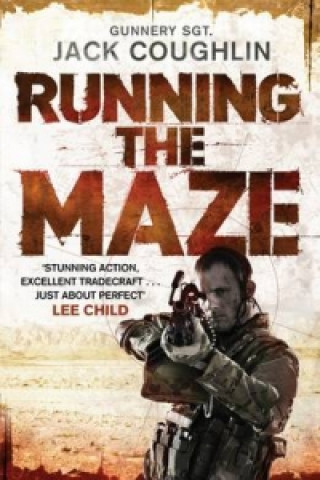 Buch Running the Maze Donald A. Davis