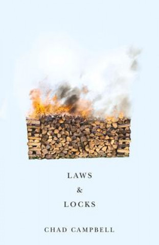 Kniha Laws & Locks Chad A. Campbell