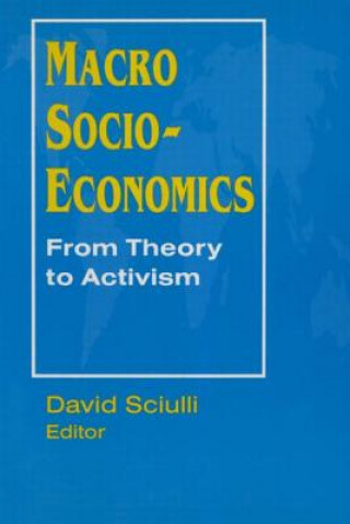 Kniha Macro Socio-economics: From Theory to Activism David Sciulli