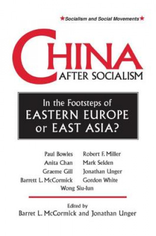 Книга China After Socialism: In the Footsteps of Eastern Europe or East Asia? Barrett L. McCormick