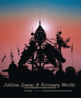 Книга Sublime Spaces and Visionary Worlds Erika Doss