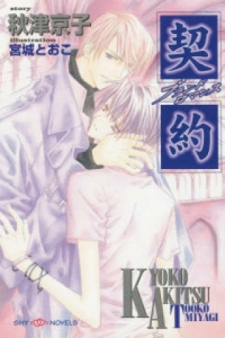Kniha Promise of Romance Kyoko Akitsu