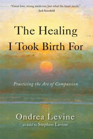 Kniha Healing I Took Birth for Stephen Levine