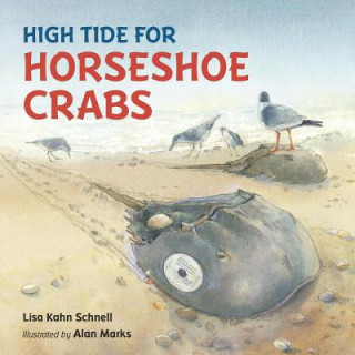 Carte High Tide for Horseshoe Crabs Alan Marks