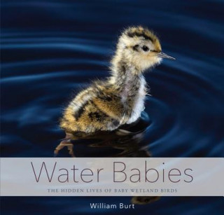 Knjiga Water Babies William Burt