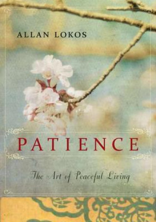 Kniha Patience Allan Lokos