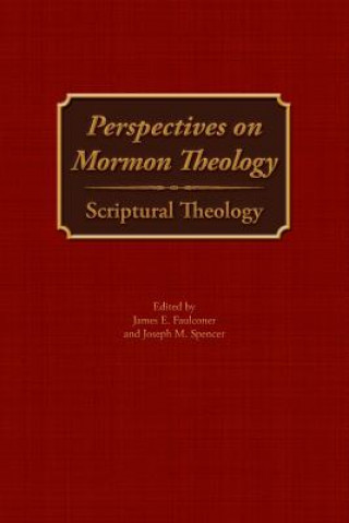 Kniha Perspectives on Mormon Theology James E. Faulconer