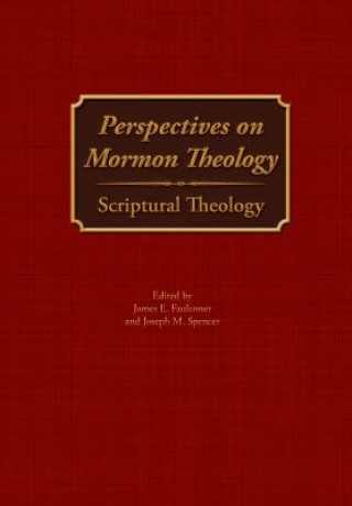 Kniha Perspectives on Mormon Theology James E. Faulconer