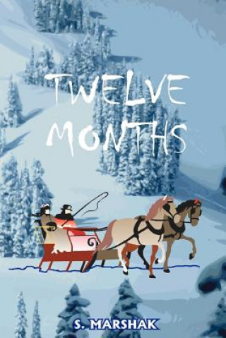 Boek Twelve Months S Marshak
