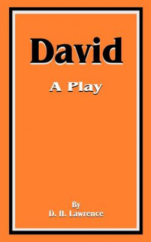 Livre David D H Lawrence