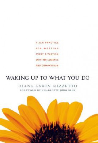 Kniha Waking Up to What You Do Diane Enshin Rizzetto