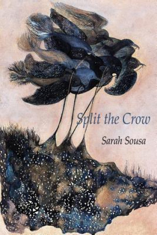 Kniha Split the Crow Sarah Sousa