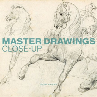 Kniha Master Drawings: Close Up Julian Brooks
