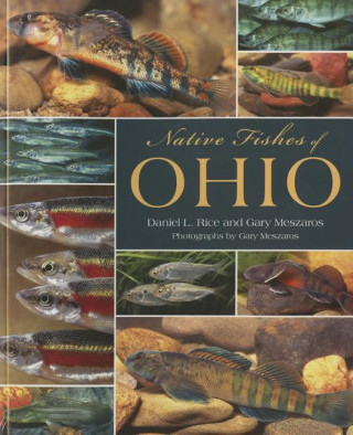 Knjiga Native Fishes of Ohio Daniel L. Rice