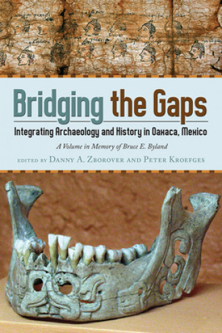 Kniha Bridging the Gaps DANNY ZBOROVER