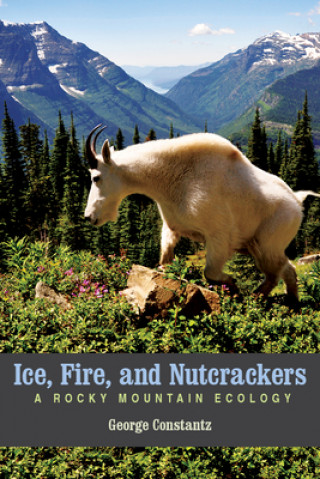 Kniha Ice, Fire, and Nutcrackers George Constantz