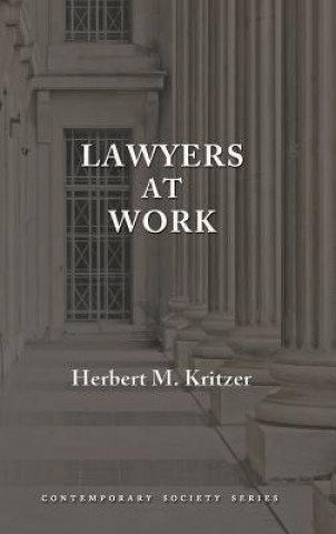 Kniha Lawyers at Work Herbert M Kritzer