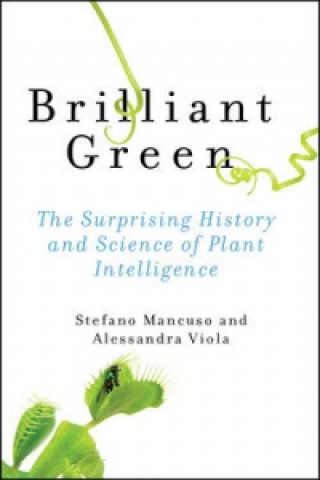 Kniha Brilliant Green Alessandra Viola