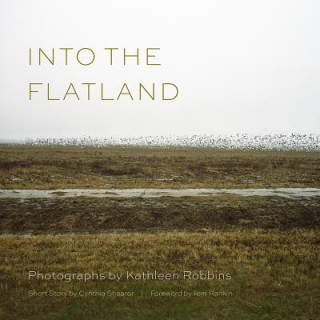 Könyv Into the Flatland Cynthia Shearer