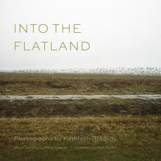 Книга Into the Flatland Cynthia Shearer