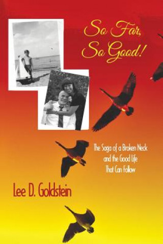 Книга So Far, So Good Lee D Goldstein