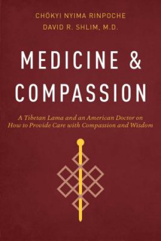Könyv Medicine and Compassion David R. Shlim