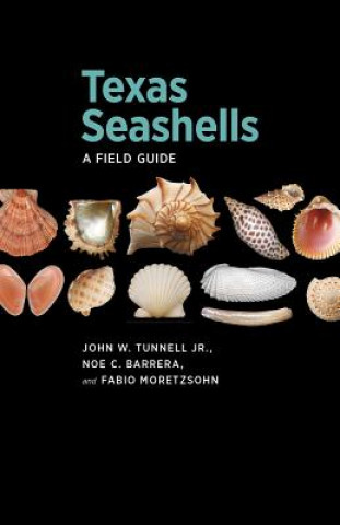 Kniha Texas Seashells Fabio Moretzsohn