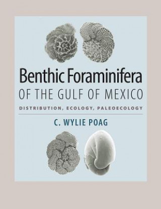 Buch Benthic Foraminifera of the Gulf of Mexico C. Wylie Poag