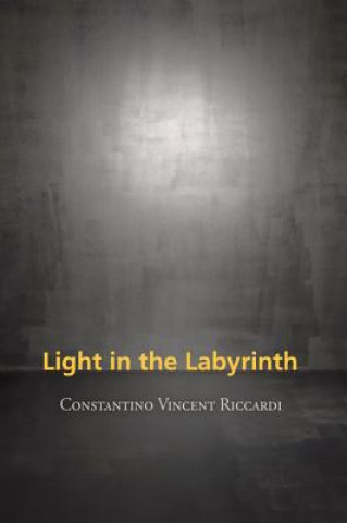 Book Light in the Labyrinth Constantino Vincent Riccardi