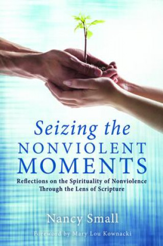 Kniha Seizing the Nonviolent Moments Nancy Small