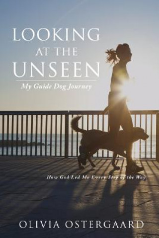 Könyv Looking at the Unseen Olivia Ostergaard