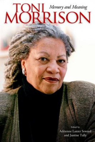 Kniha Toni Morrison Carolyn C. Denard