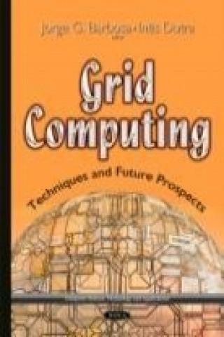 Könyv Grid Computing 