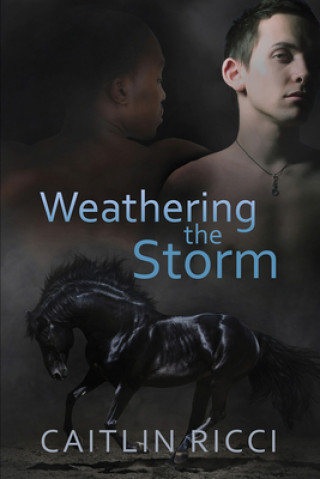 Könyv Weathering the Storm CAITLIN RICCI